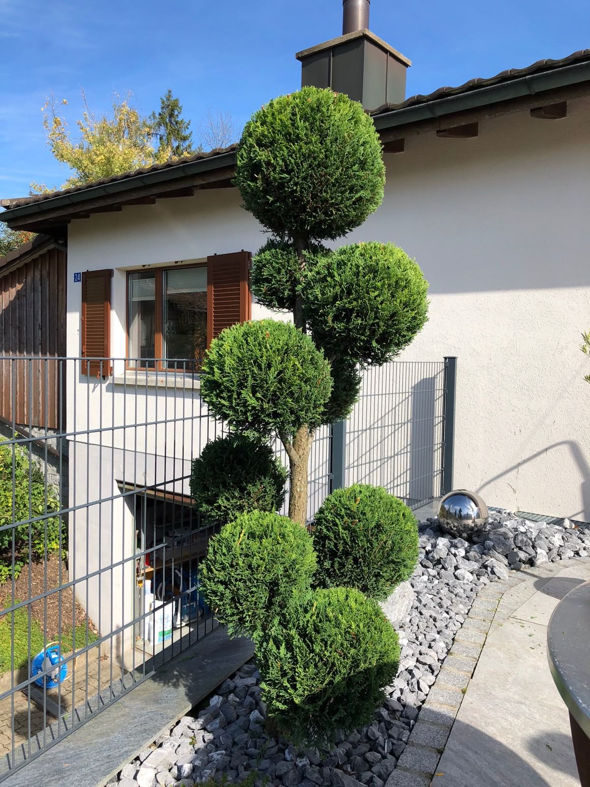 Profesionální prořezávka stromů s motorovou pilou